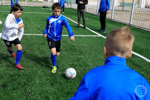 116600-2022312-1961-alky5u.vwexv 